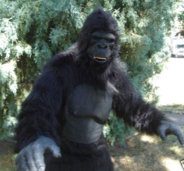 gorilla outfit