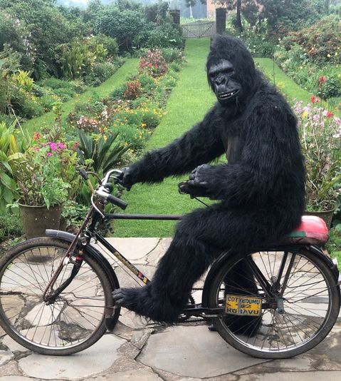 gorillabike