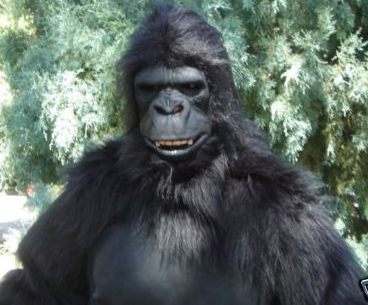 gorillacostume